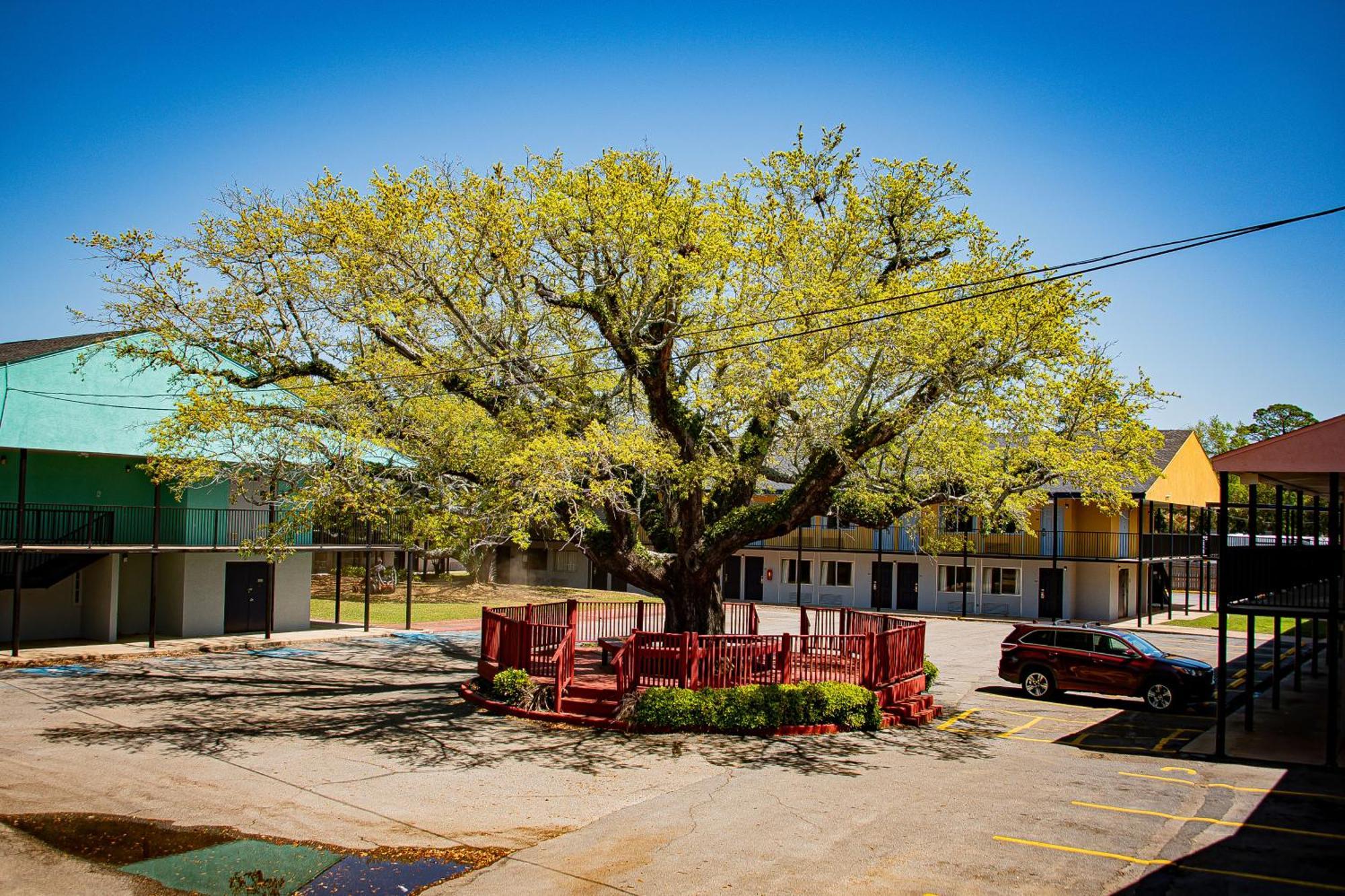 Biloxi Beach Hotel Exterior foto